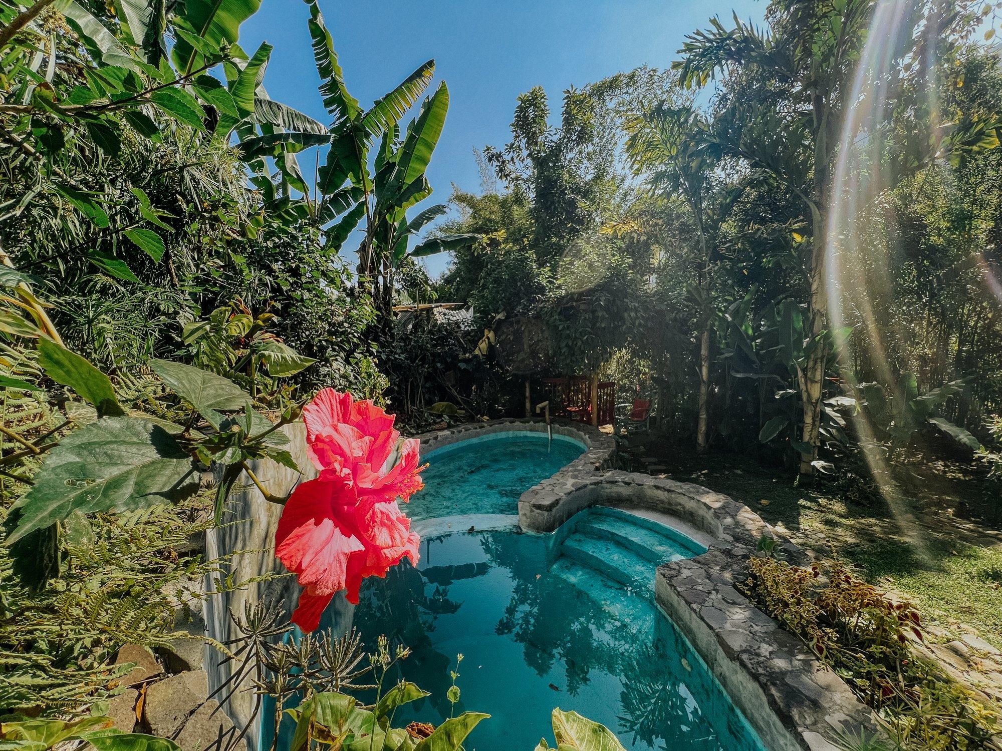 Terraced gardens and plunge pool on the estate