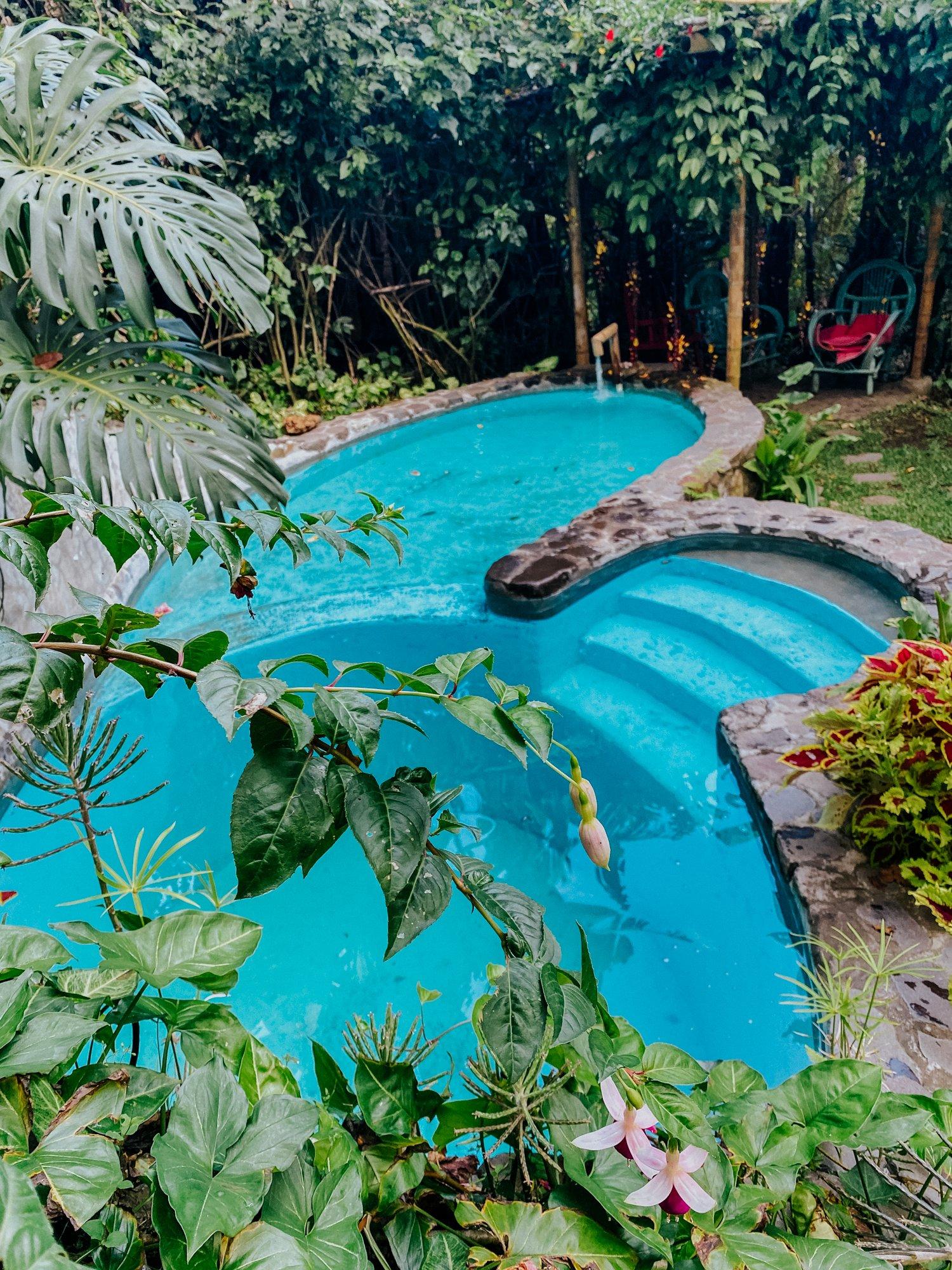 Agua azul de la piscina rodeada de flores y hojas tropicales